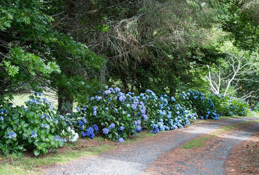 Doolans Country Retreat B&B Rotorua Eksteriør billede